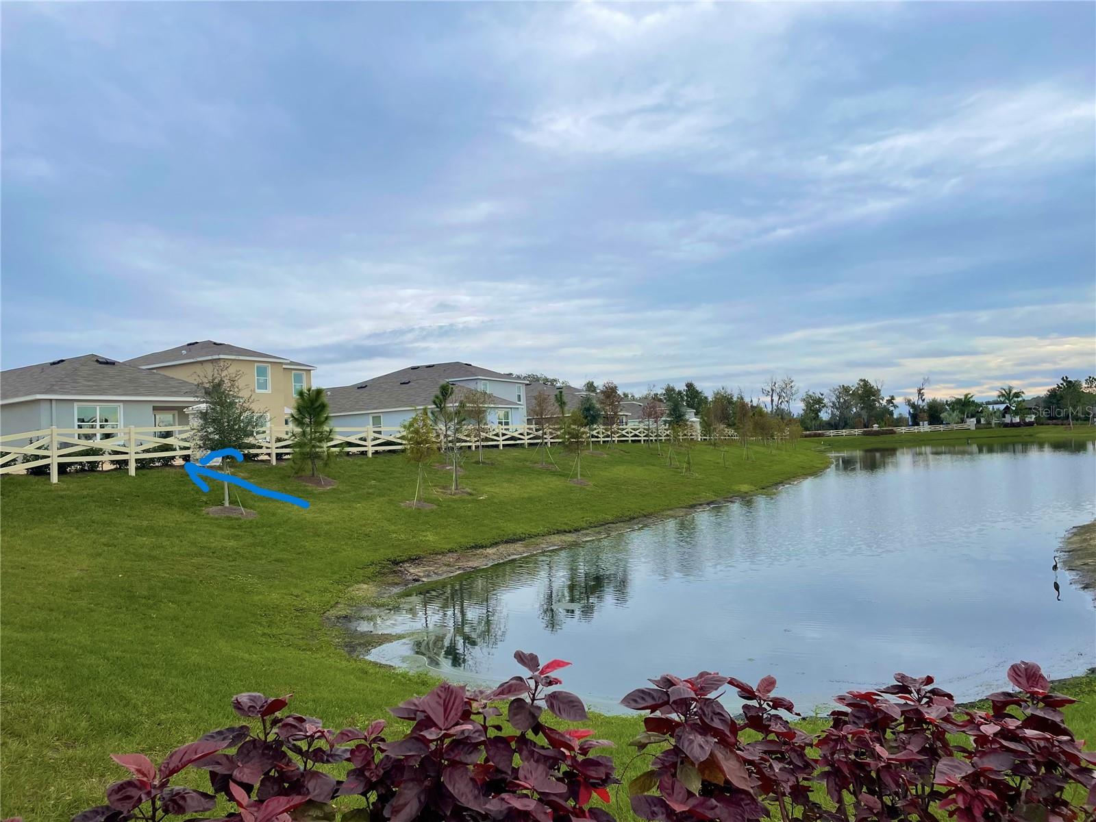 C9D | VARREA PHASE 1 - Residential Lease