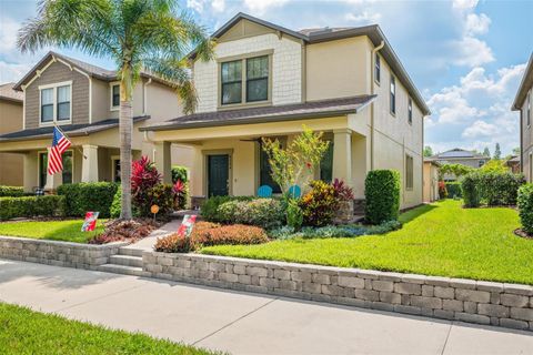 4264 BEXLEY VILLAGE DRIVE LAND O LAKES FL 34638