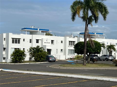 P -101 N/A 101 CEIBA  00735