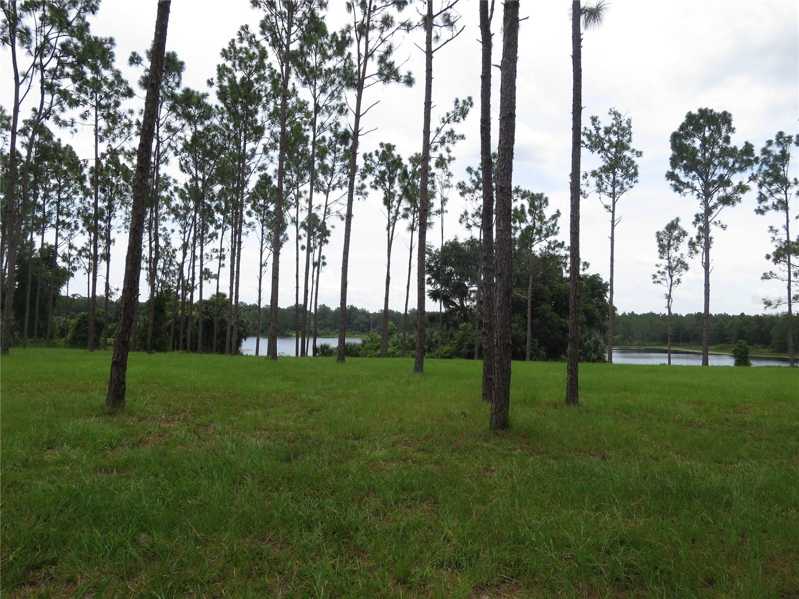 N/A - Residential Lease