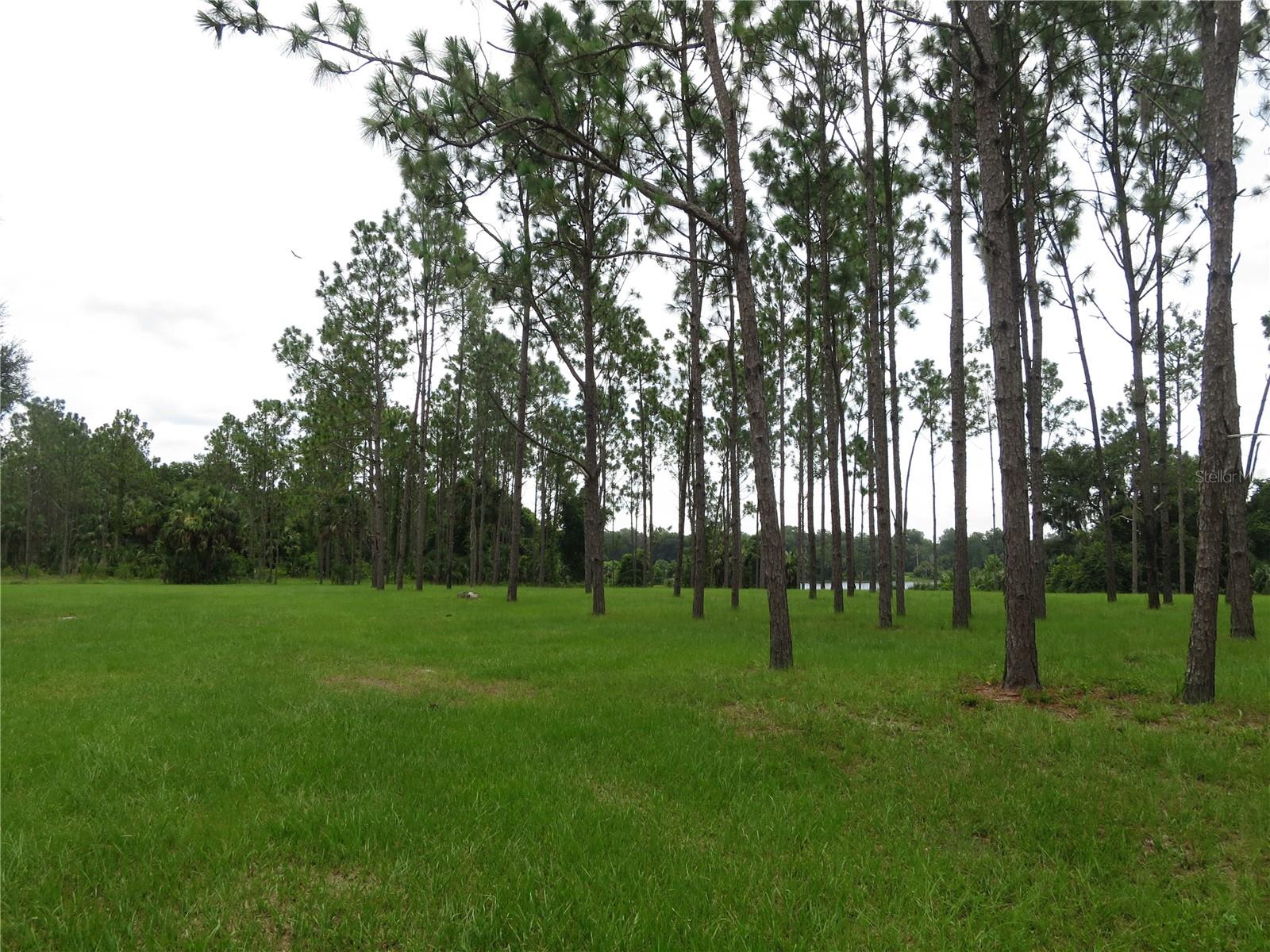 N/A - Residential Lease