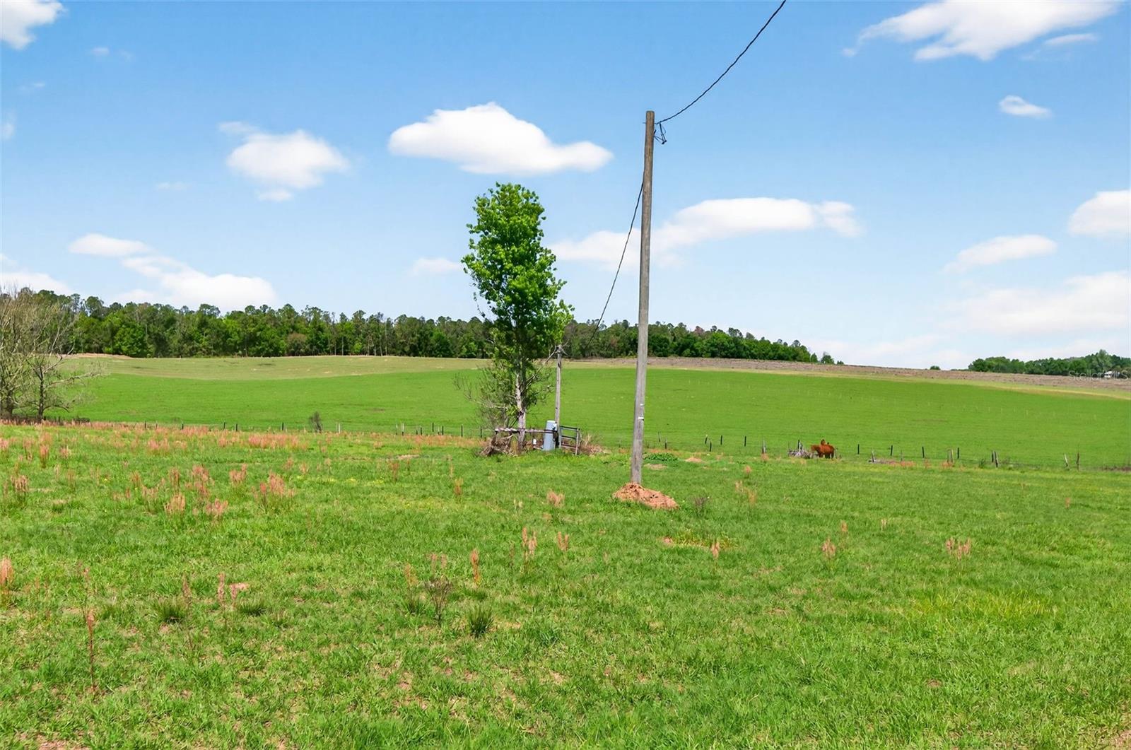 HILLTOP HORIZONS - Land