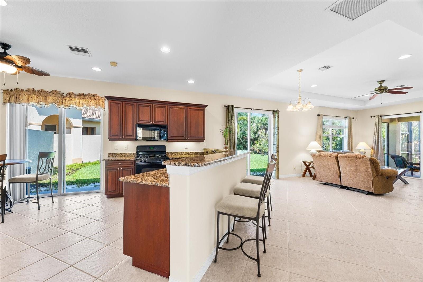 138 TIZIANO WAY
