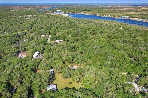 Photo of 10465 W Yulee Drive, Homosassa, FL 34448 (MLS # OM725041)