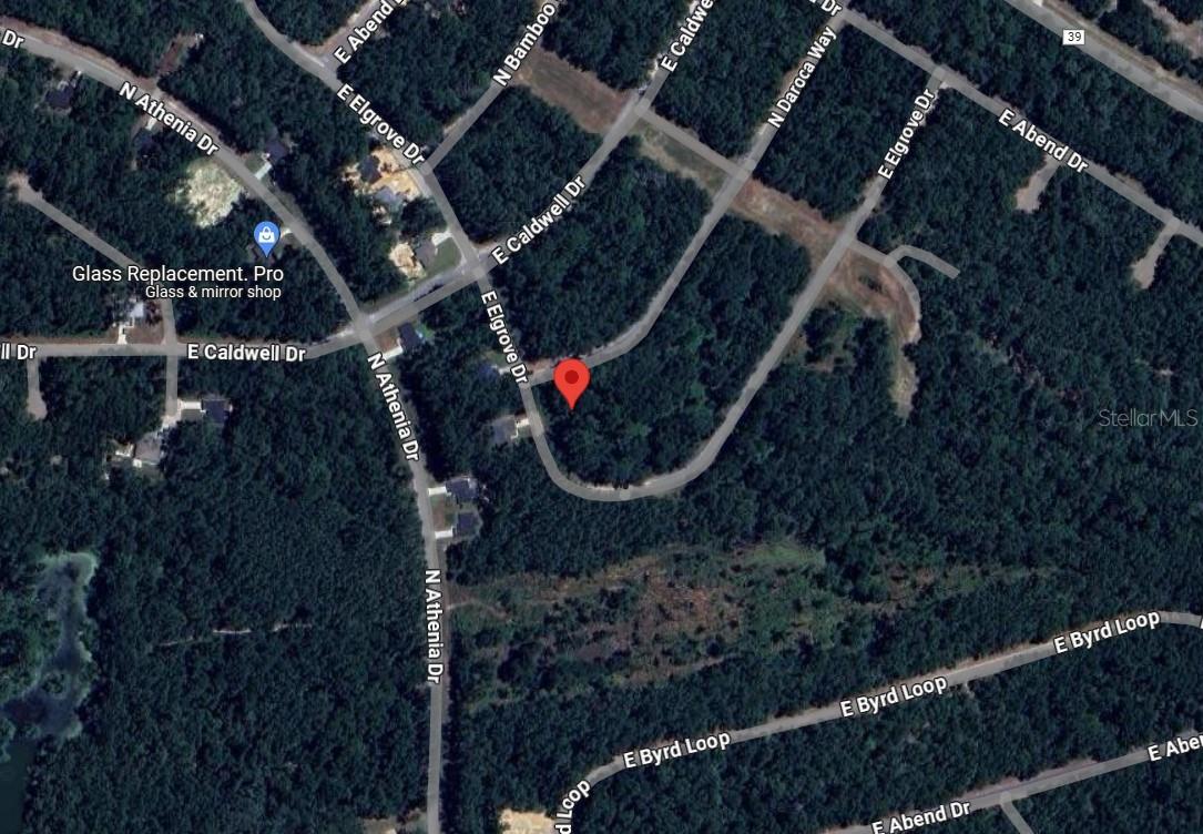 CITRUS SPGS UNIT 19 - Land