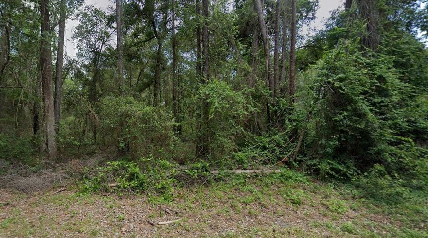Build your dream home on this beautiful high and dry corner lot in in desirable Citrus Springs with No HOA or deed restrictions. Bring you RV and boat! New homes already in the area waiting for your home to be built. Electricity nearby making it easy to access power. Quiet neighborhood but minutes from shopping, doctors' office, restaurants and just a short drive to the Suncoast Parkway to be in the big cities like Tampa or St. Pete! The property is minutes from Rainbow Springs State Park where you can swim, snorkel, kayak, hike on nature trails, and bike ride. The neighborhood features the famous Withlacoochee State Trail for biking, hiking and nature walks. This property won't last long! Call today to make it your own.
