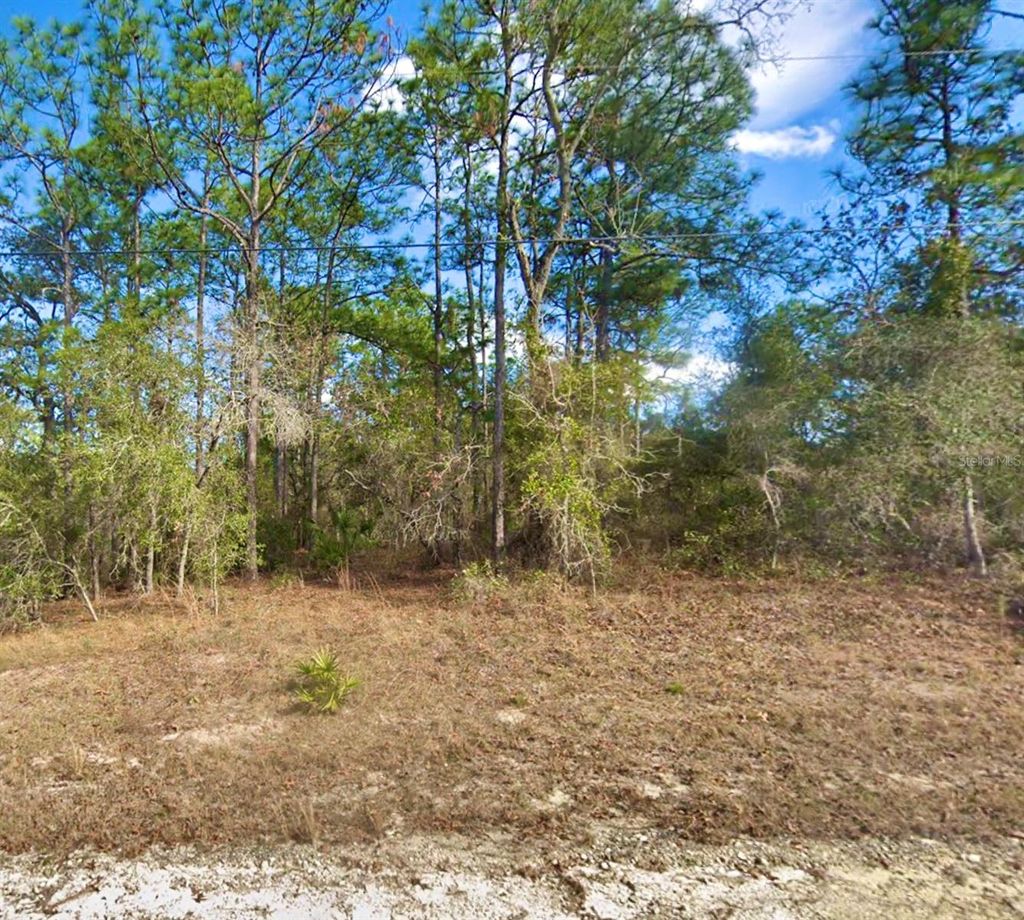Photo of 8110 Nordica Road, Weeki Wachee, FL 34613 (MLS # TB8491024)
