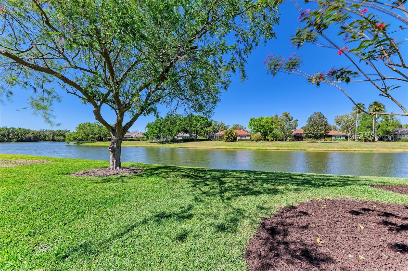 PRESERVE AT MISTY CREEK - Residential