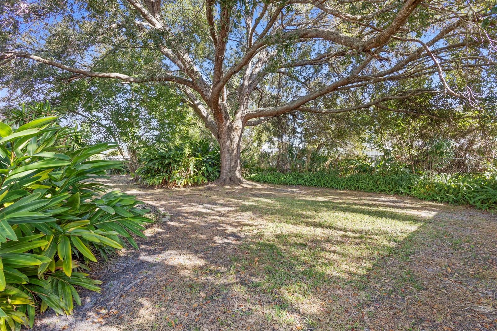 DELTONA LAKES UNIT 40 - Residential