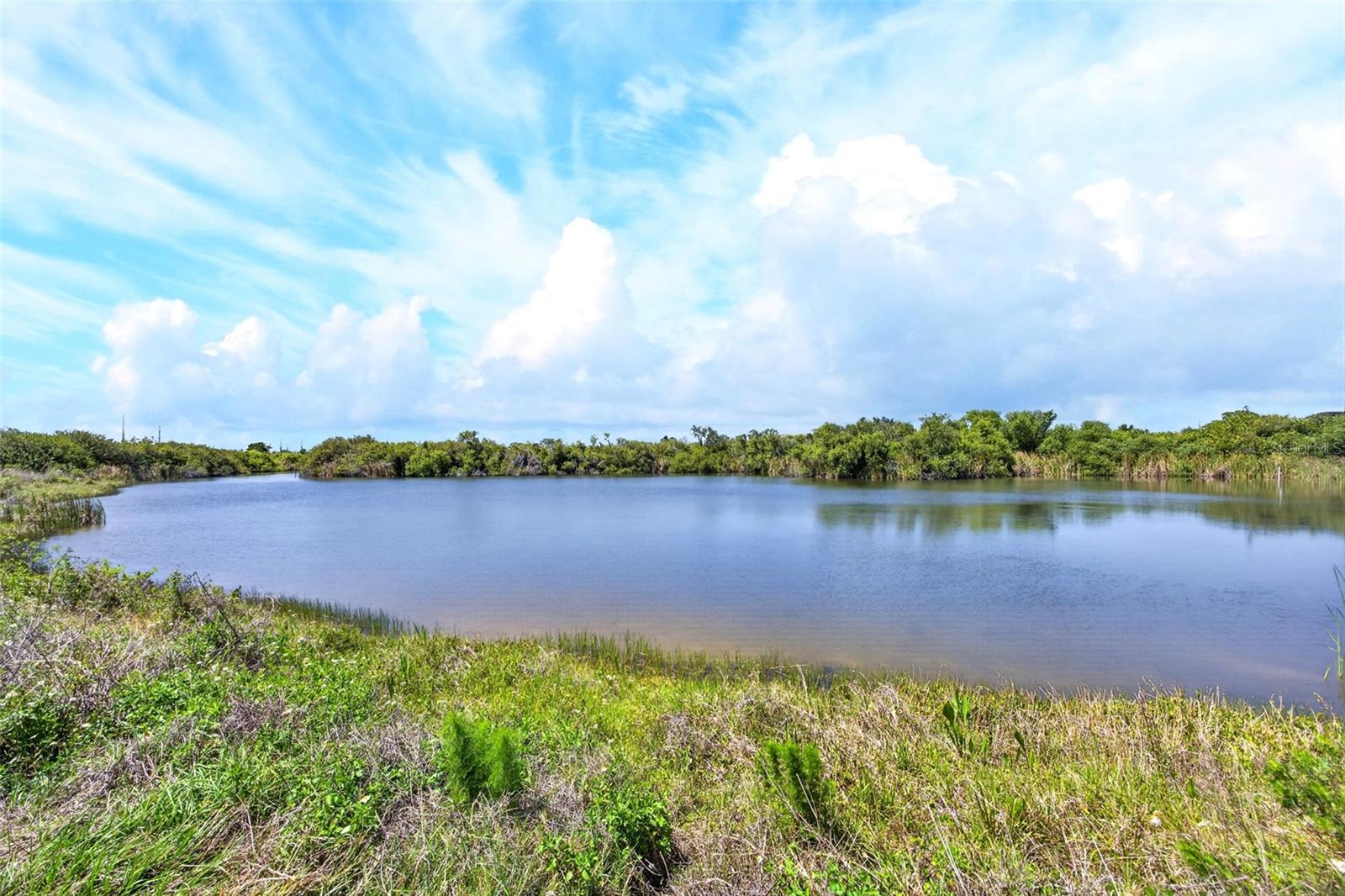 NEWPORT 01 PH 02 BLDG 05 - Residential