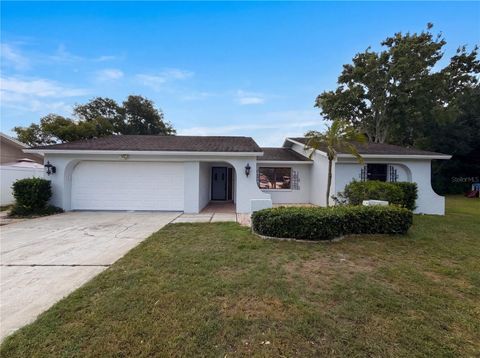 Photo of 3413 Snowy Egret Court, Palm Harbor, FL 34683 (MLS # O6407130)