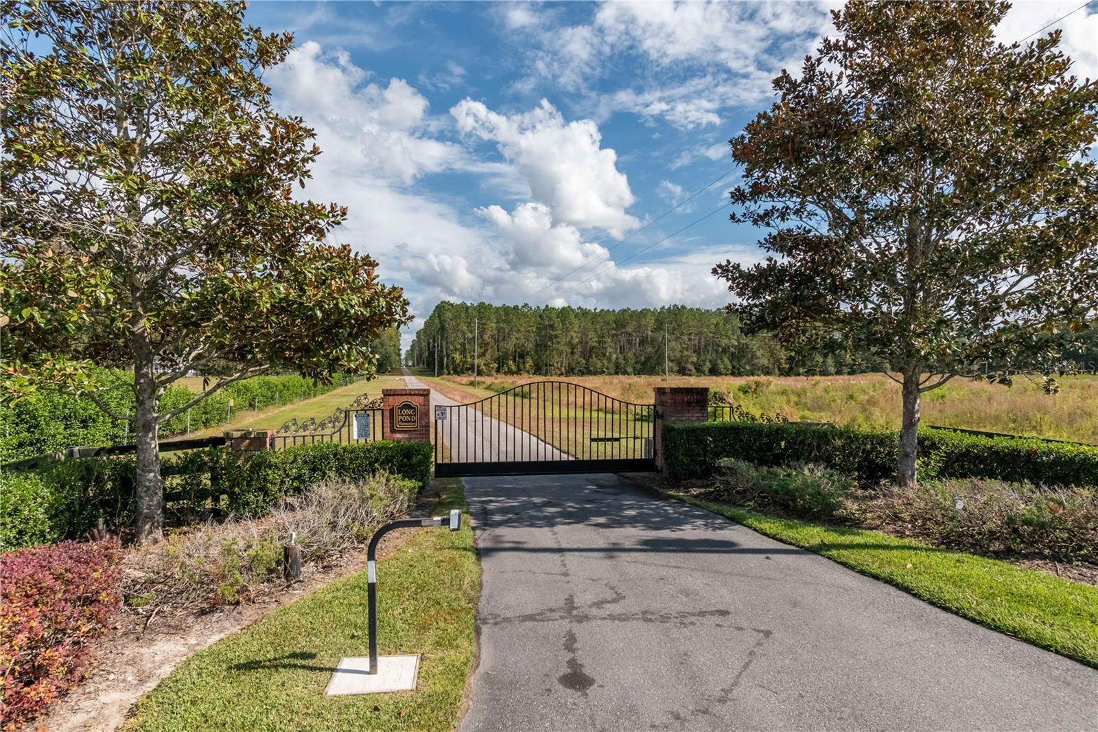 LONG POND PLANTATION - Land