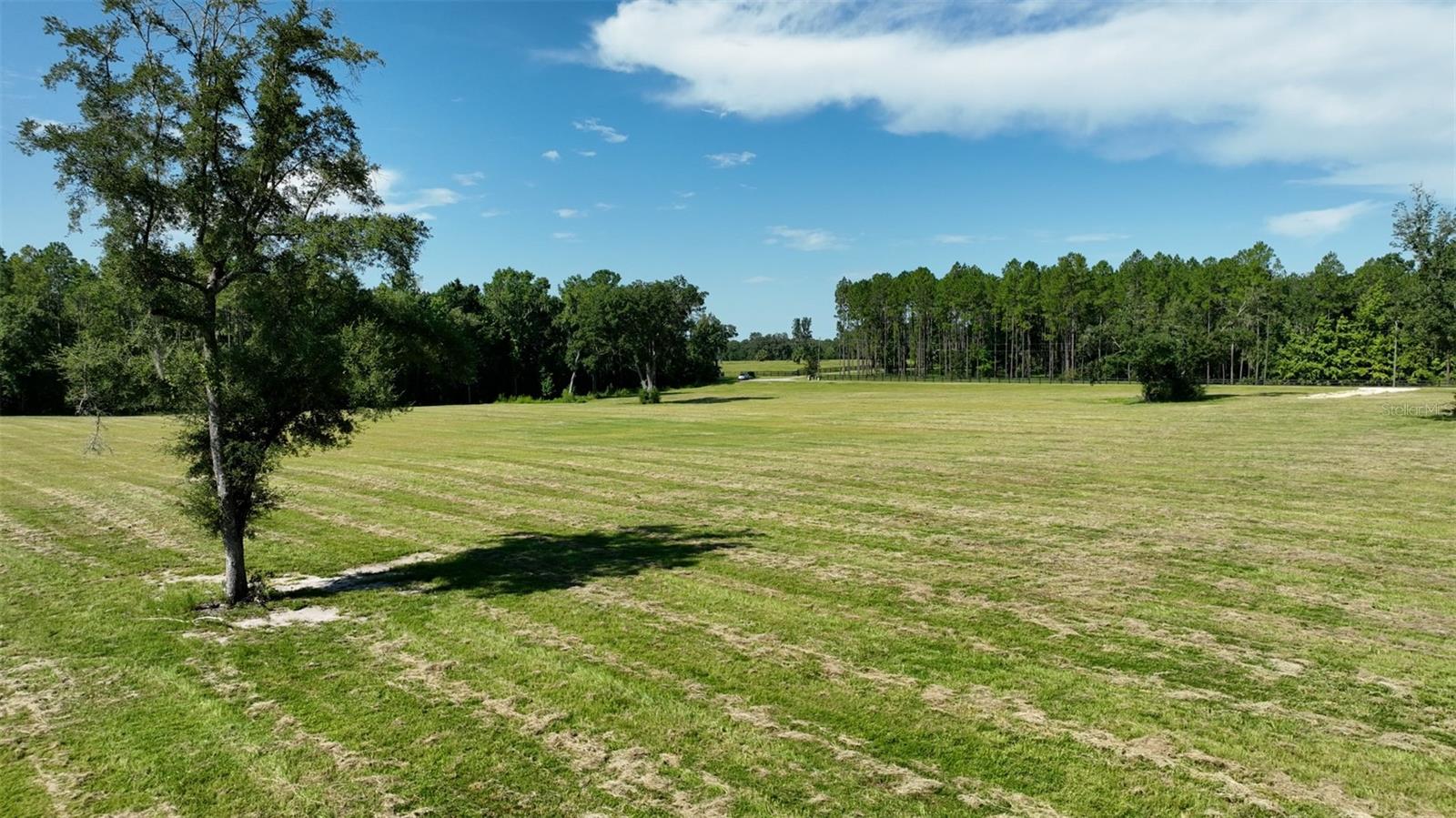 LONG POND PLANTATION - Land