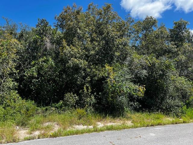 1229 BALTIC DRIVE