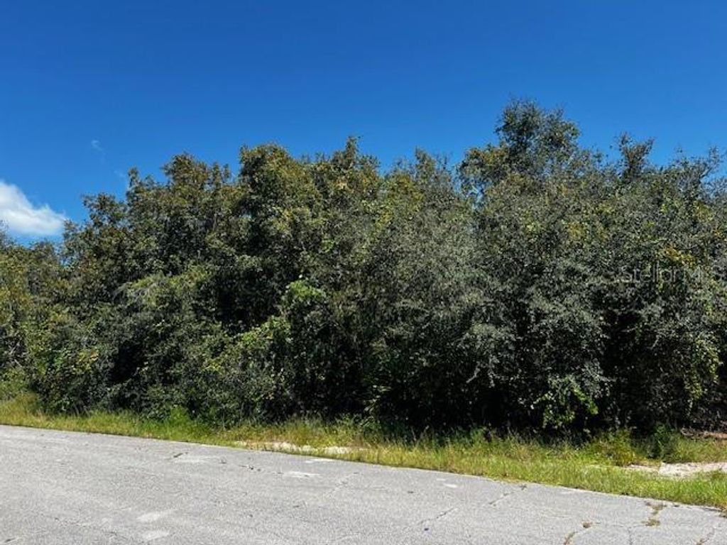 Photo of 1229 Baltic Drive, Poinciana, FL 34759 (MLS # S5134712)