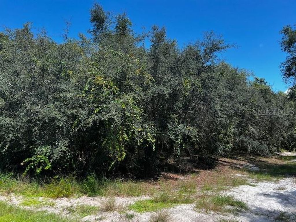Photo of 1229 Baltic Drive, Poinciana, FL 34759 (MLS # S5134712)