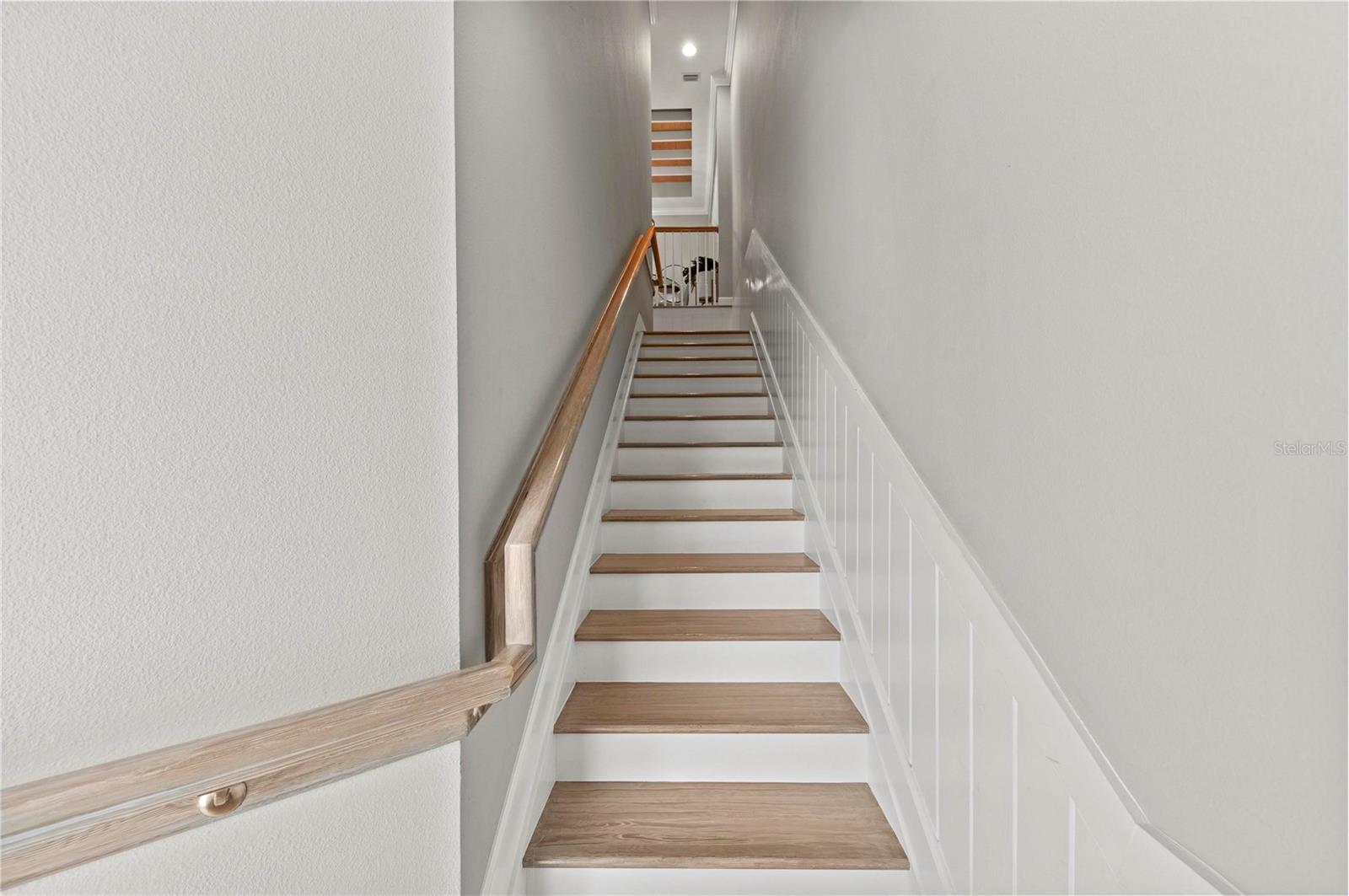 HARBOUR ISLE PH 9 & MANGROVE WALK PHASE II - Residential