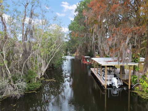 A home in EUSTIS