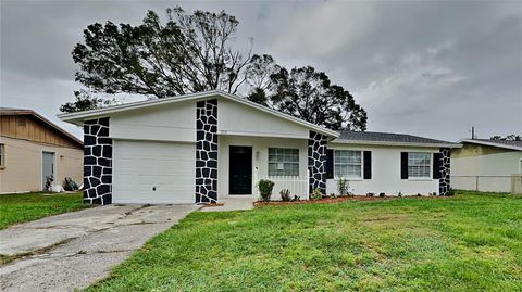 A home in TAMPA