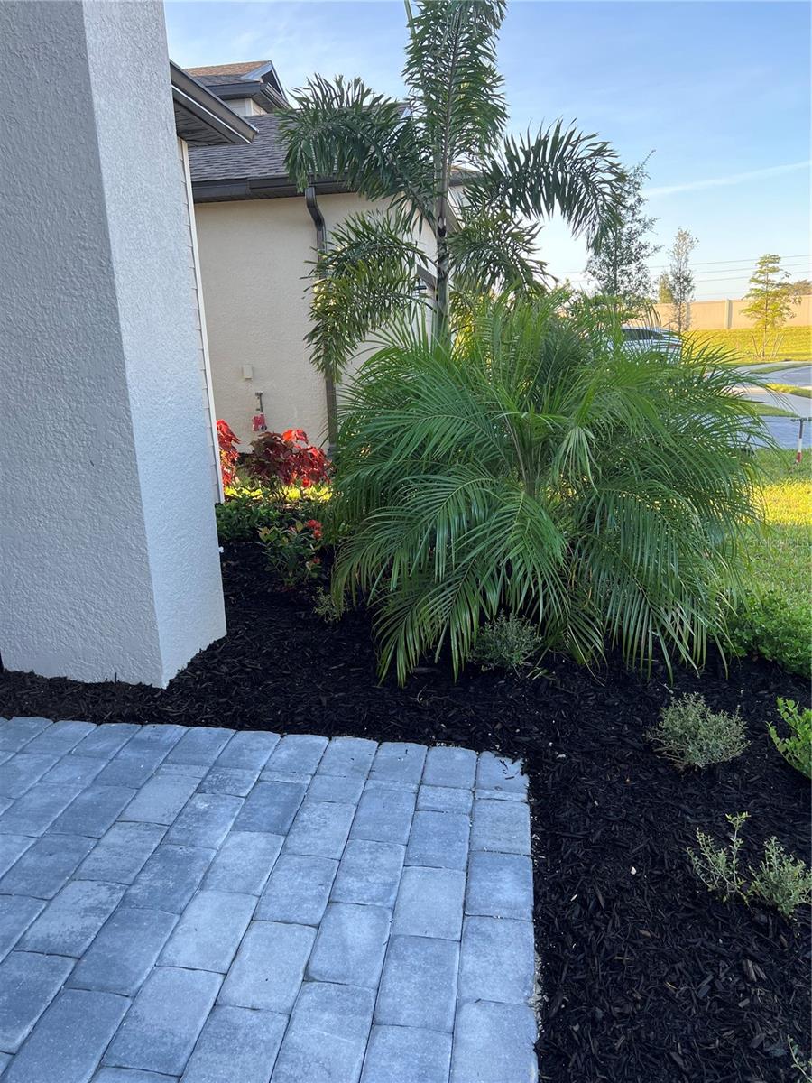 TORTUGA - Residential Lease