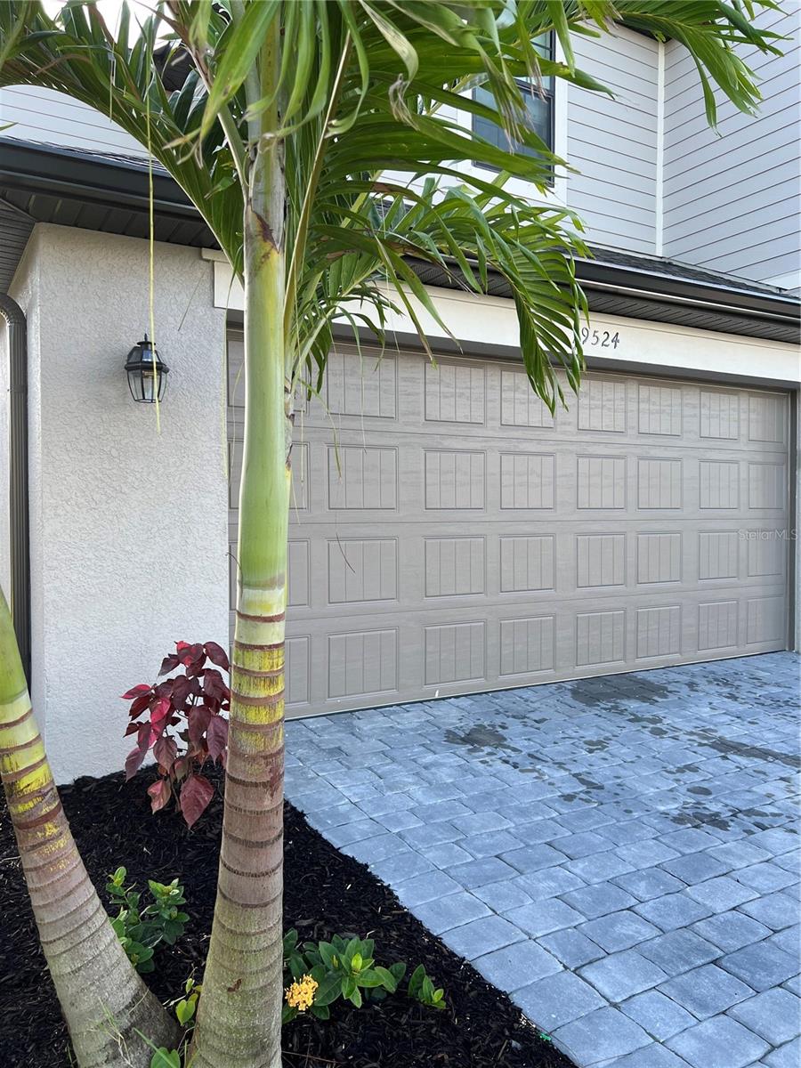 TORTUGA - Residential Lease