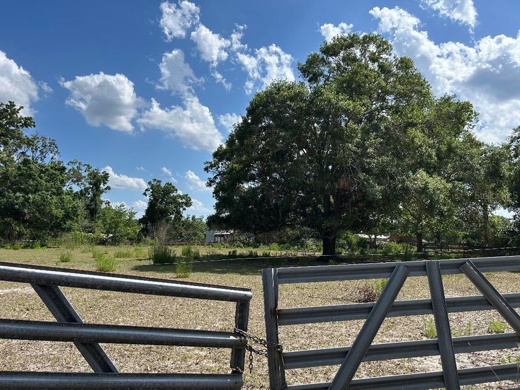 Photo of 23046 Brandy Road, Land O Lakes, FL 34639 (MLS # O6303419)