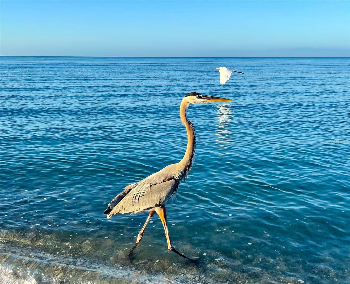 ENGLEWOOD GARDENS - Residential