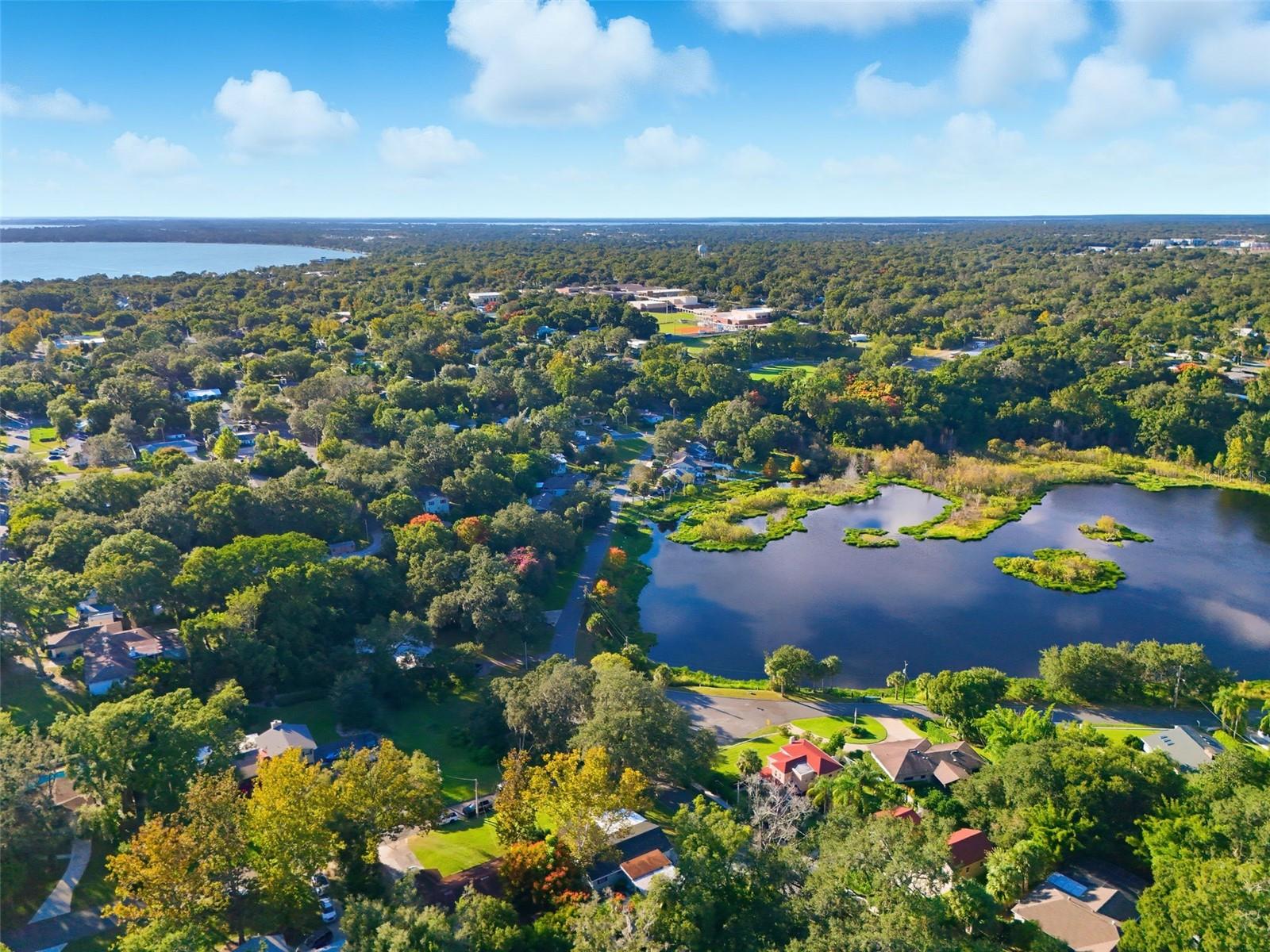MOUNT DORA LAKE FRANKLIN PARK REV - Residential