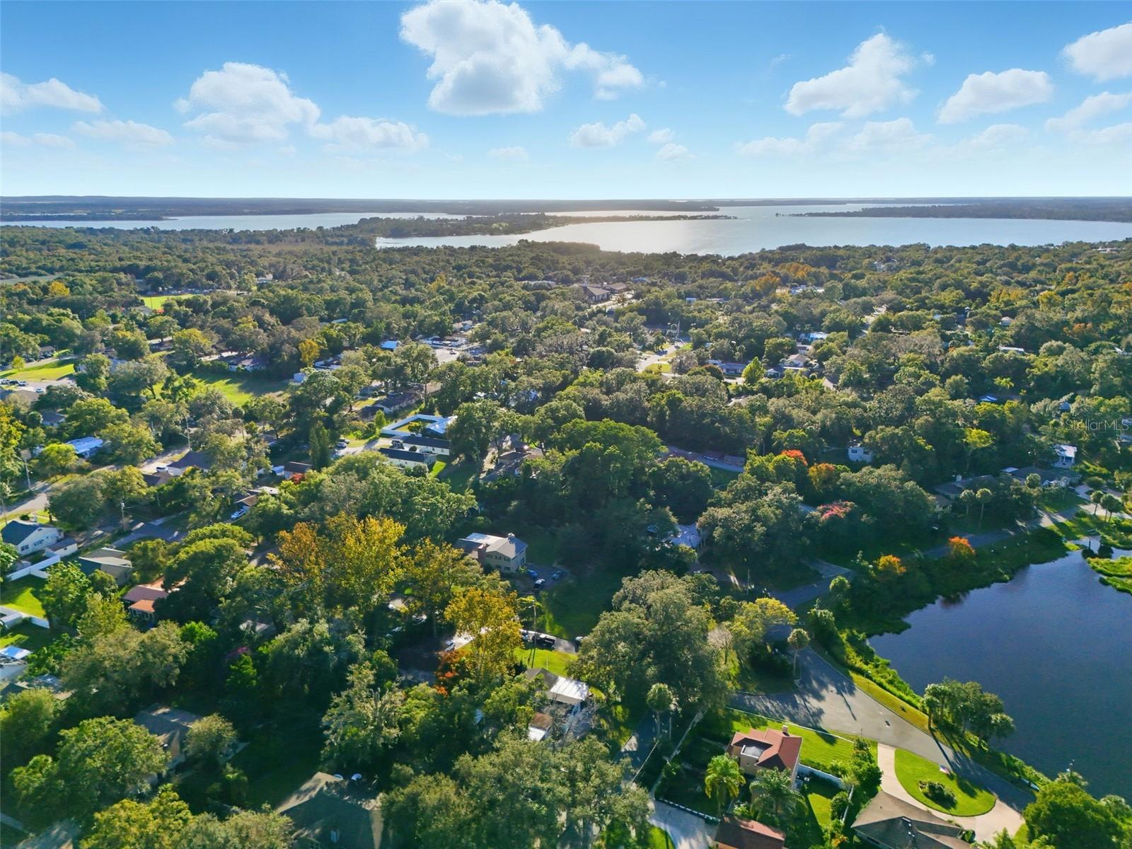 MOUNT DORA LAKE FRANKLIN PARK REV - Residential