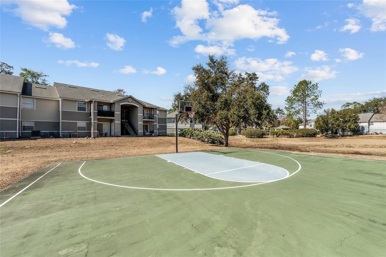 WINDSOR PARK AT GAINESVIL - Residential