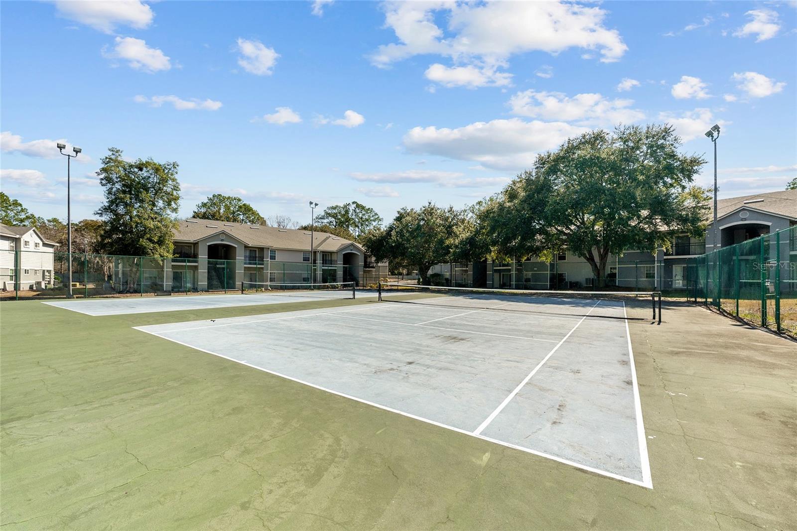 WINDSOR PARK AT GAINESVIL - Residential