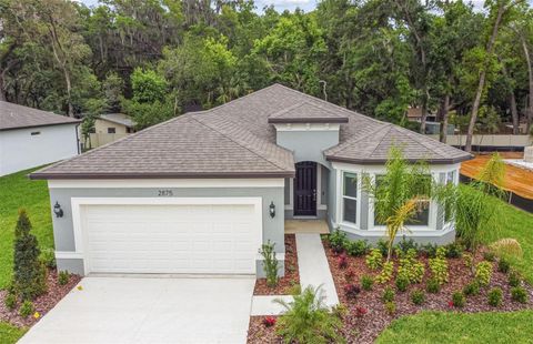 Single Family Residence in VALRICO FL 2875 YELLOW BARN LANE.jpg