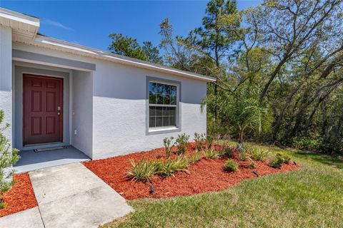 A home in KISSIMMEE