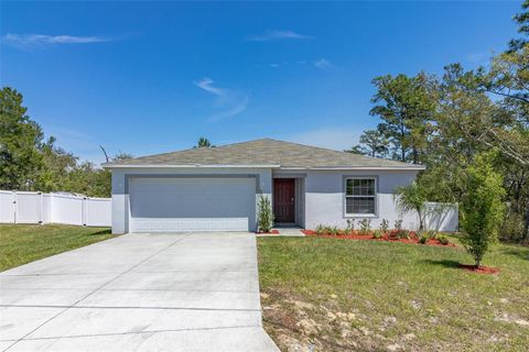 A home in KISSIMMEE