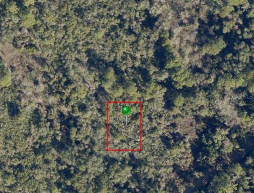 Vacant uncleared parcel. X Flood Zone. Unincorporated Volusia County. Contact County for information and future potential.