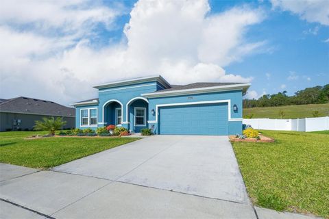 6042 CLAYSTONE WAY MOUNT DORA FL 32757