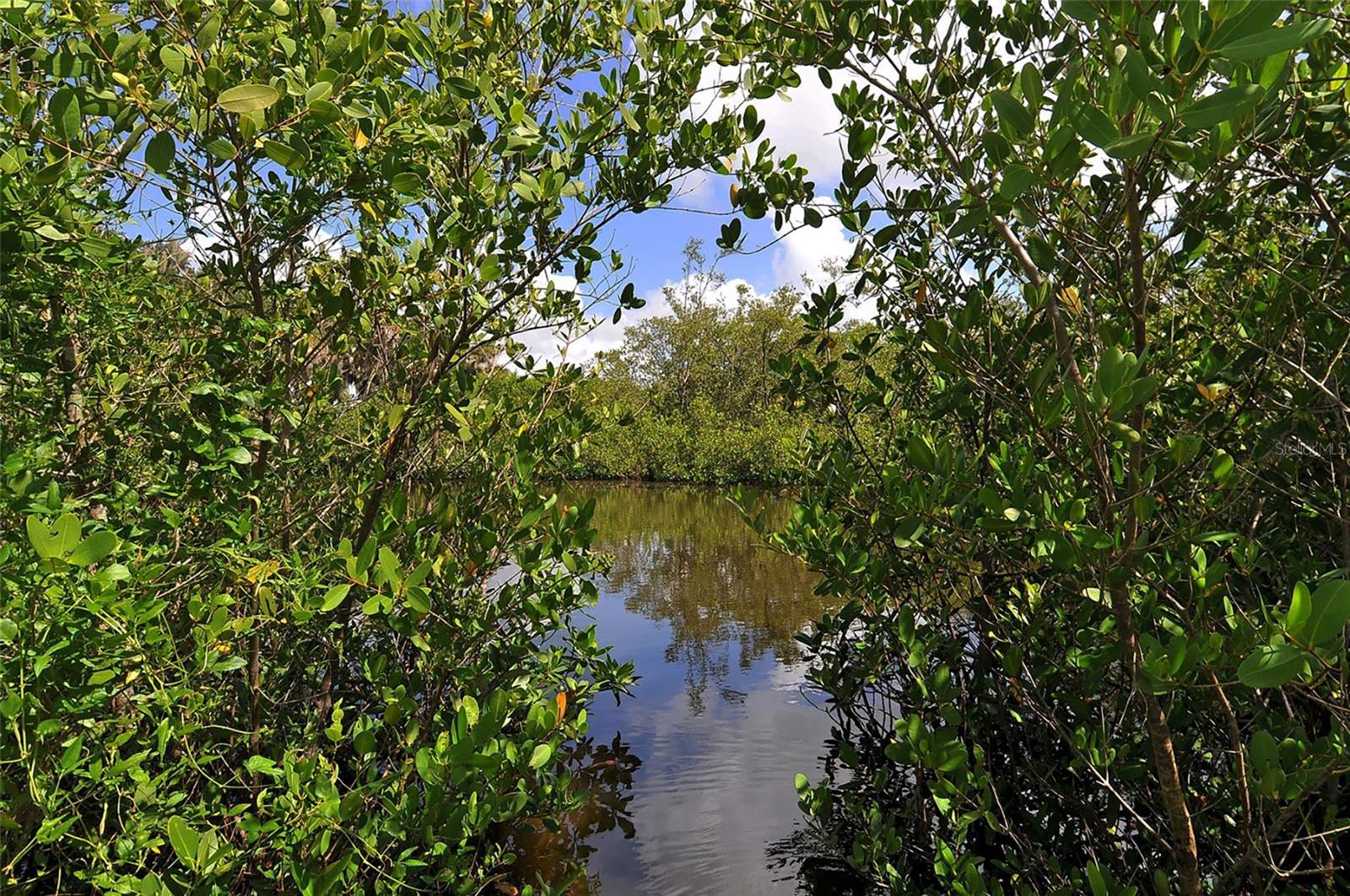 RIVERDALE REV - Residential