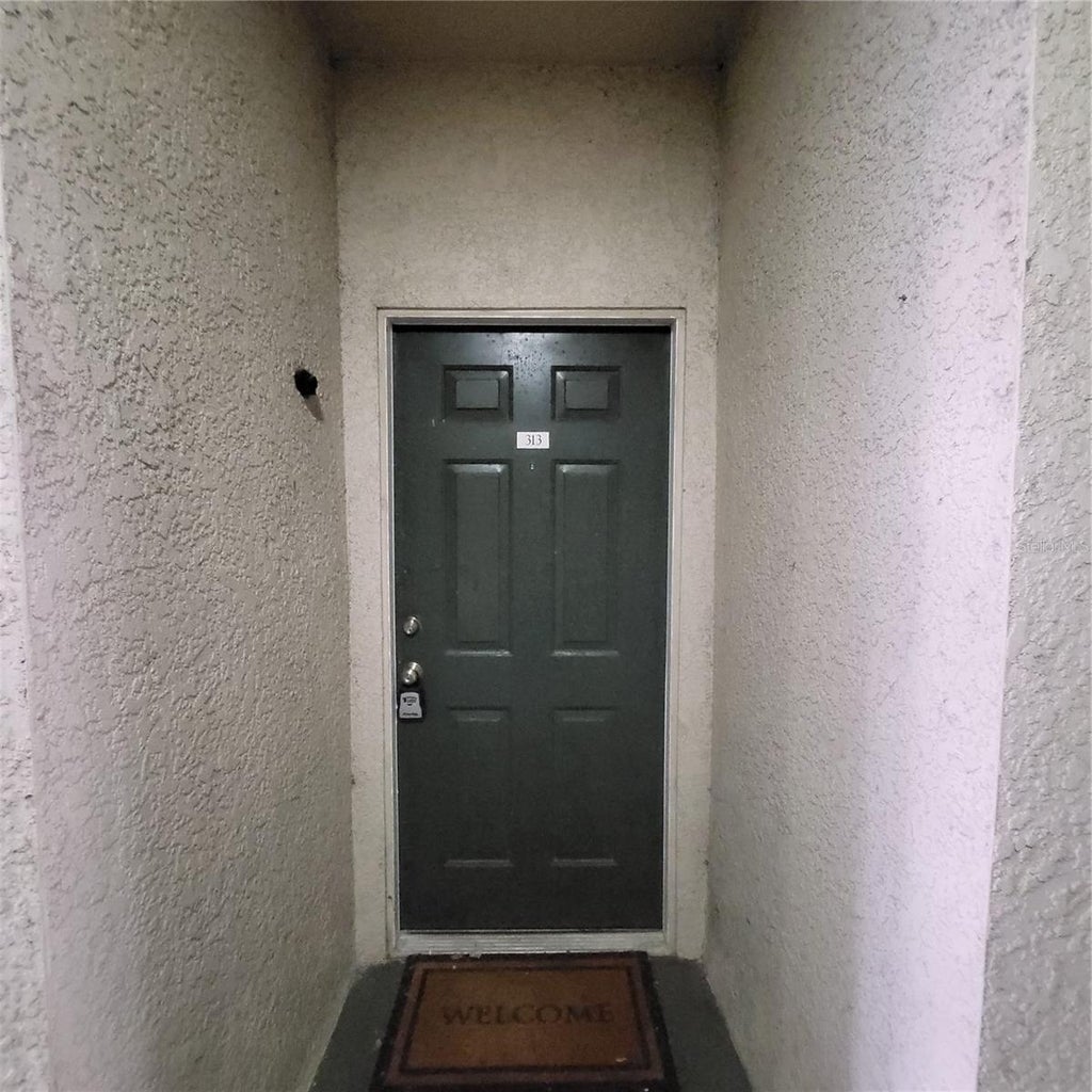 Photo of 17102 Carrington Park Drive #313, Tampa, FL 33647 (MLS # TB8546798)