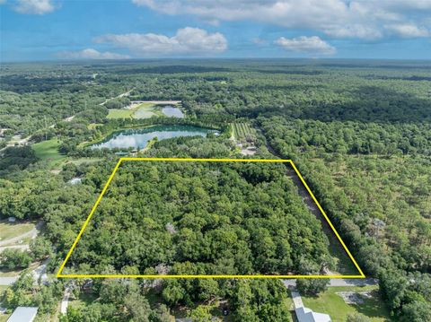 191 E PONKAN ROAD APOPKA FL 32712
