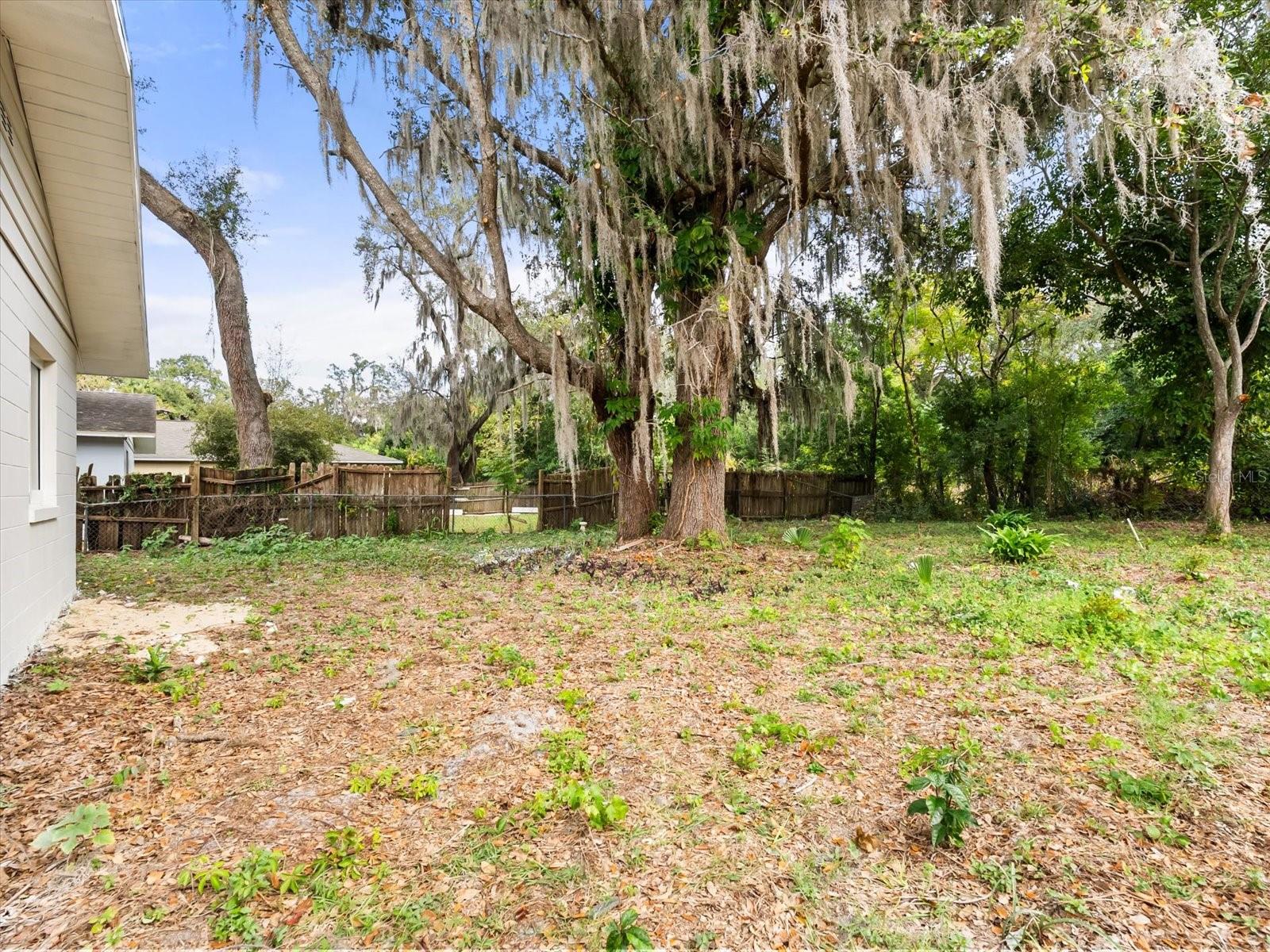 PALM TERRACE - Residential