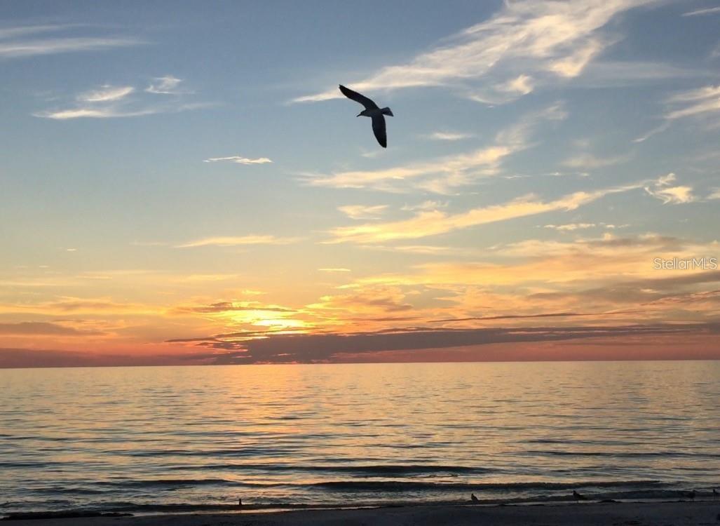 BAY ISLAND GROUP 1 - Residential