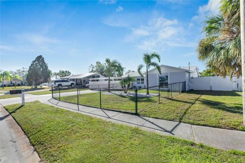 A home in APOLLO BEACH