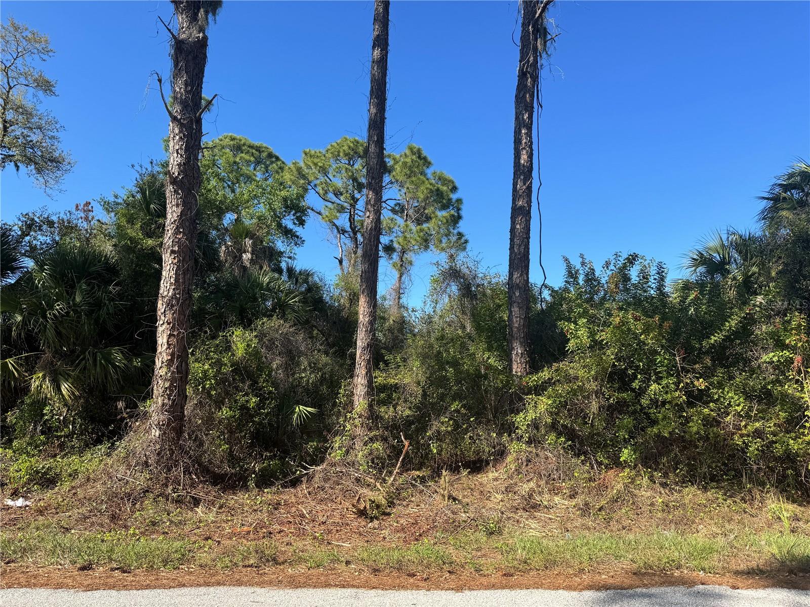 PORT CHARLOTTE SEC 016 - Land