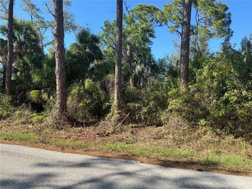 Rare Commercial Opportunity – Two Adjacent CG Zoned Lots Near Tamiami Trail
Exceptional opportunity to acquire two side-by-side commercial lots zoned CG (Commercial General) in a highly convenient Port Charlotte location (SEE MLS D6146610). Situated just one street off the bustling Tamiami Trail (U.S. Route 41), these parcels offer excellent accessibility while maintaining a quieter setting for development.  Both lots are located in Flood Zone X, providing peace of mind and reducing potential development costs. Public water and sewer are available, making the property well-positioned for a wide range of commercial uses permitted under CG zoning. Surrounded by established businesses and located close to Toledo Blade Boulevard, this site benefits from strong area growth, convenient traffic flow, and easy access to major corridors serving the greater Port Charlotte area. Whether you're planning to expand your professional / retail storefront, open a service-based business, or other commercial investment project, this property offers flexibility and visibility in a thriving district.