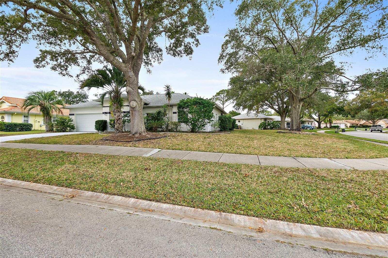 HAMPTONS/PINE LAKES/PALM COAST SEC 20 - Residential