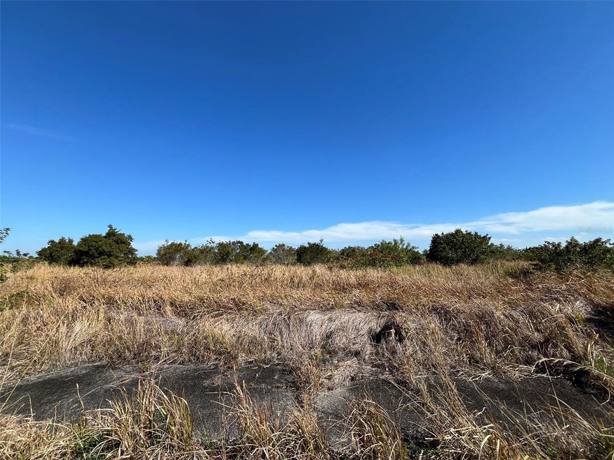 Invest now, before prices go up! This Residential lot is located in what locals and the City of Palm Bay refer to as "The Compound" and the city was just awarded EPA funds for revitalization. Once part of a master-planned community that went sideways in the later 80s/early 90s and the result was individual lots sold off. 2725 Widmer is also just a few streets over from part of the planned extension of St Johns Heritage Parkway. The land is level, making it a great start to what could be your dream home. While this lot is currently unbuildable due to no utilities being present, it is less than 6 miles from shopping, grocery stores, drug stores, dining, gas stations, and Bayside High School. Buyers should conduct their own due diligence and contact the City and County offices, including zoning and building departments for specific questions. Information was gathered from the county appraiser's website and public information; there is no exact timeline for when the area will have utilities available and be buildable. Seller does not have a survey. Get in before the growth and value goes up!