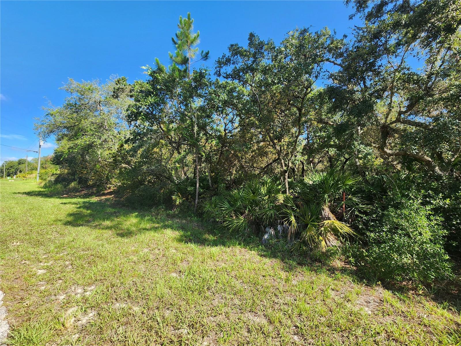 ROYAL TRAILS UNIT 01 - Land