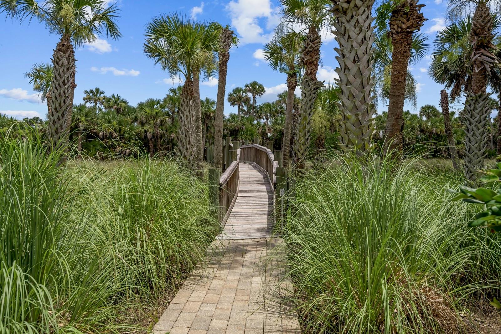 HAMMOCK DUNES - Residential
