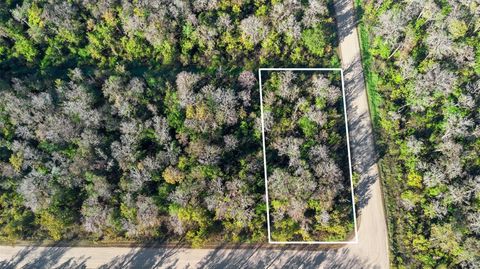 1968 FOREST PARK STREET BUNNELL FL 32110