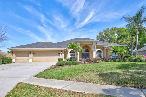 2905 HILLSIDE RAMBLE DRIVE BRANDON FL 33511